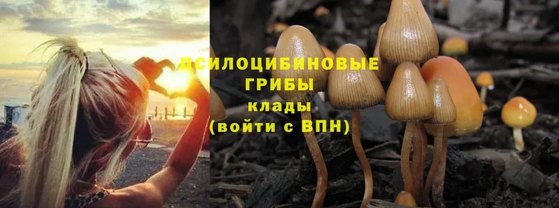 Галлюциногенные грибы Magic Shrooms  Кириши 